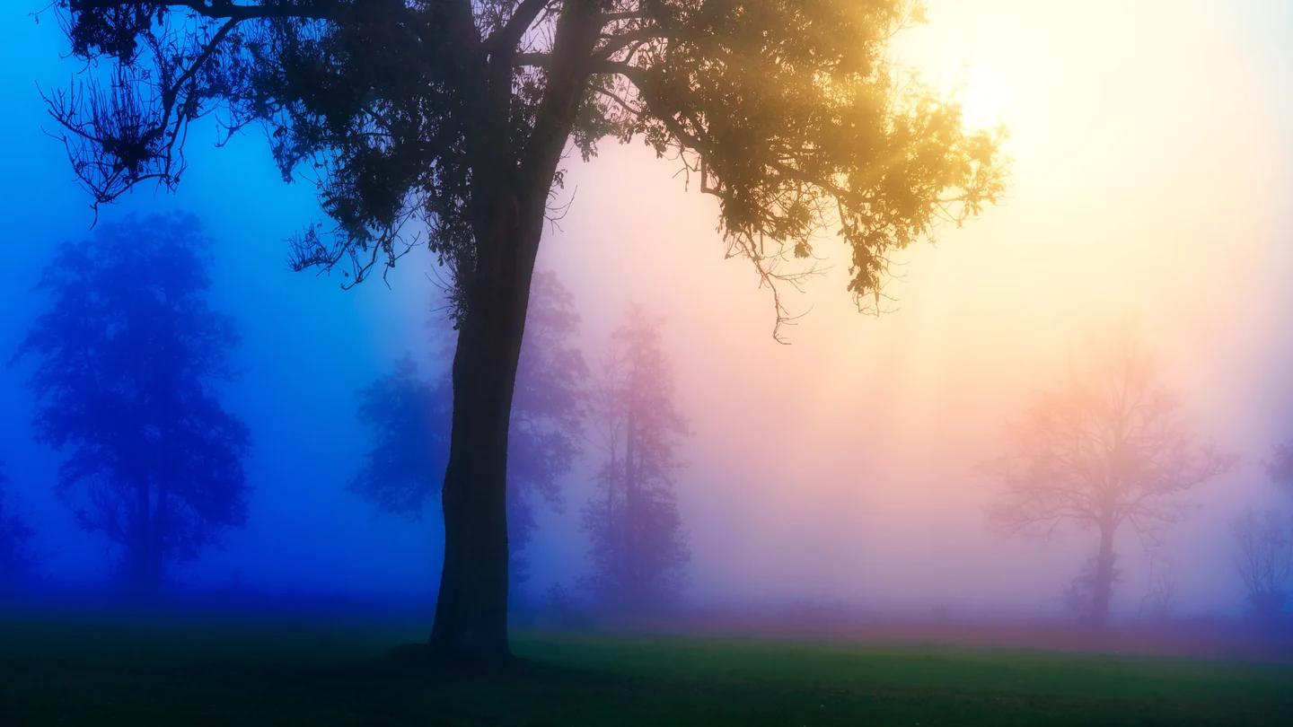 Ethereal 壁纸 2-meadow